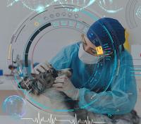 AI Veterinary Medicine