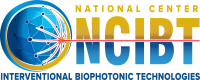 NCIBT Logo